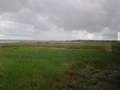 Picture 26